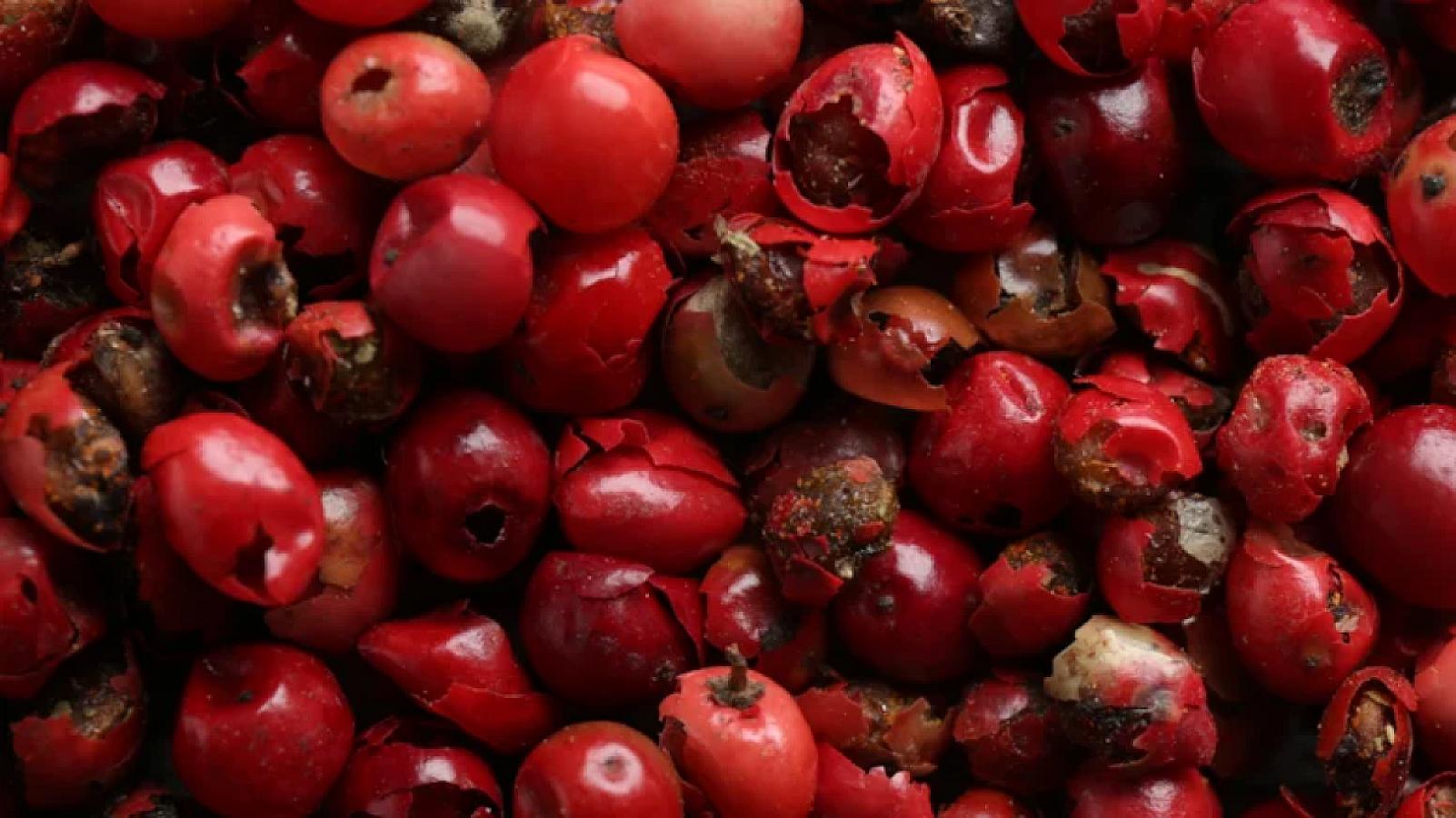 Portağal və ya mandarin deyil – bir ovucunda