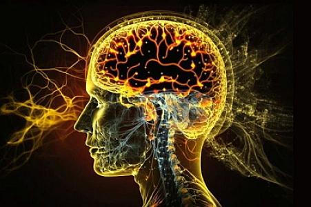 Bu qida iltihaba səbəb olur, beyni parçalayır -