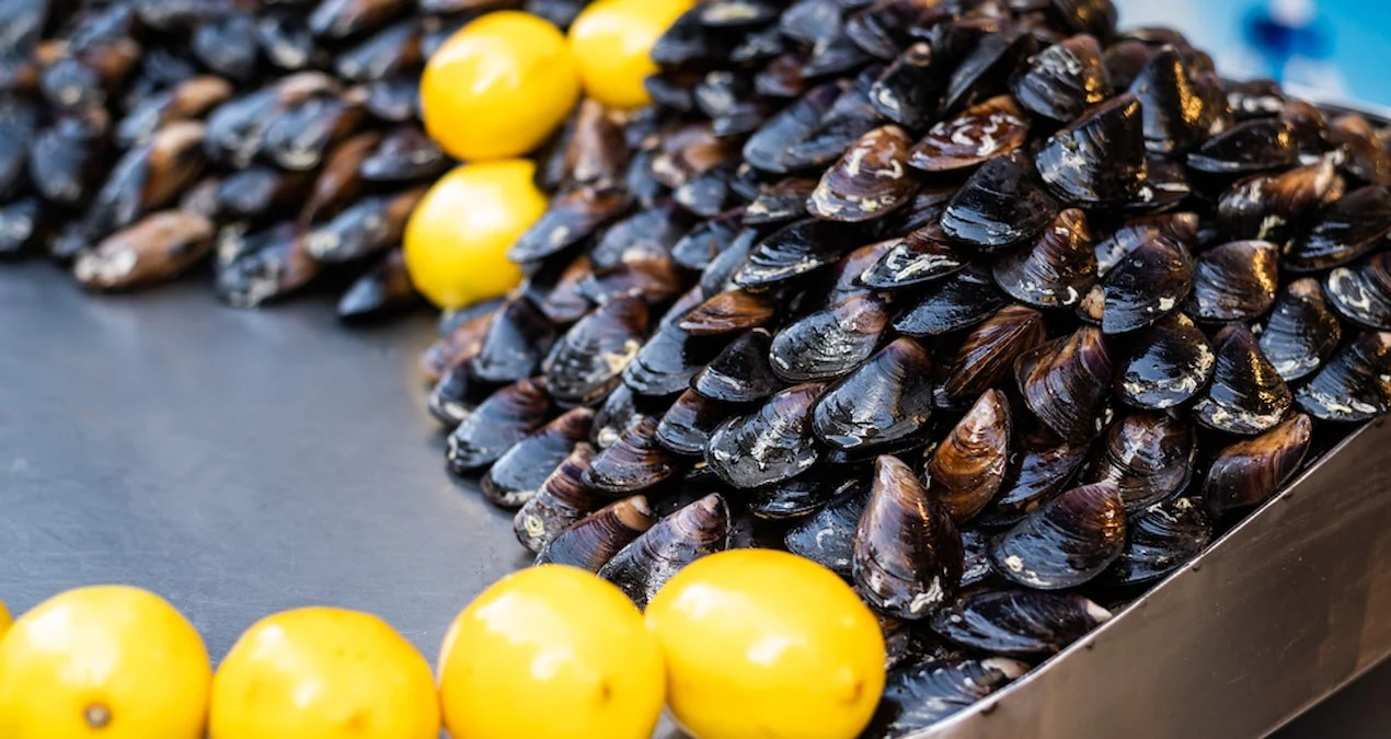 Türkiyədə midyalarda Hepatit A və Norovirus