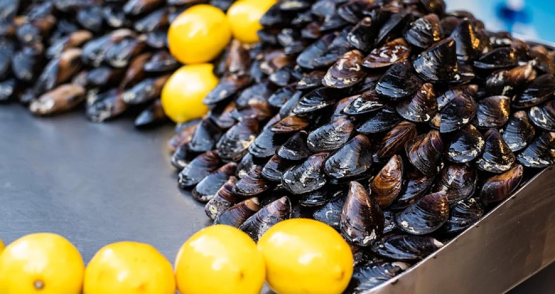 Türkiyədə midyalarda Hepatit A və Norovirus - Xəbərlər