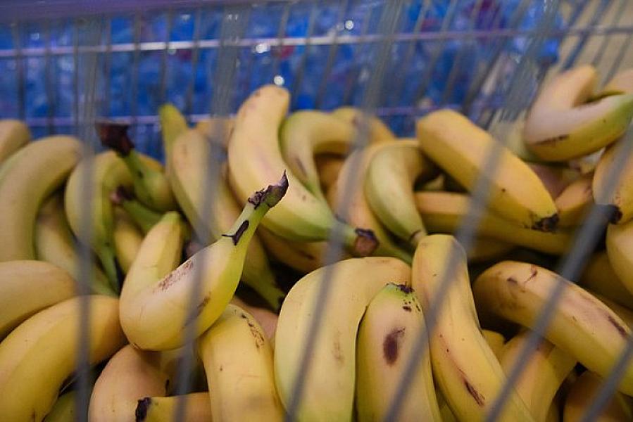 Həkim məşhur meyvənin gizli təhlükələrini açıqladı -