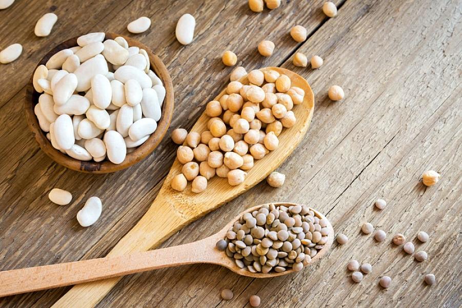 Bitki mənşəli hansı qidalar