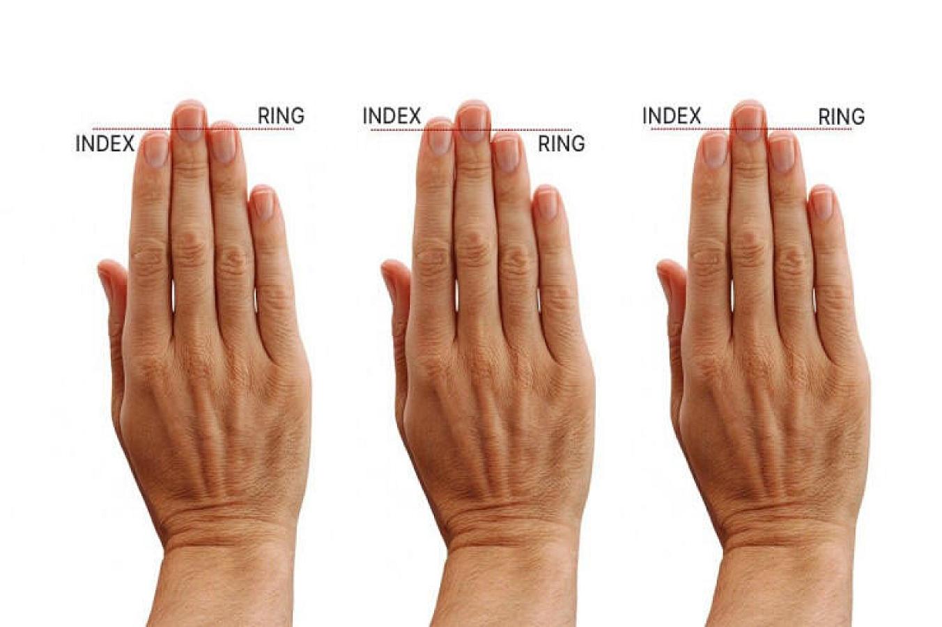 Barmaq uzunluğu idman potensialını xəbər verə bilər -