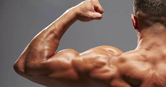 Əzələni inkişaf etdirən qidalar hansılardır?  -