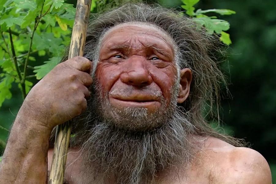 Neandertalların yoxa çıxması ilə bağlı