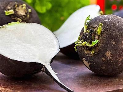 Qara turp ilə soyuqlama və öskürəyi aradan qaldırın -