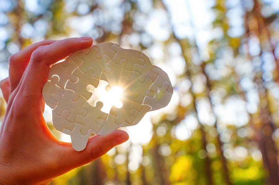 Beyni necə məşq etdirmək olar? -