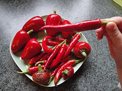 Mədə yanmasından acı bibərlə