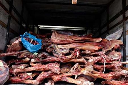 Naxçıvanda ƏT ƏMƏLİYYATI -