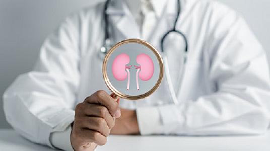 Böyrəklərinizi sağlam saxlamaq üçün