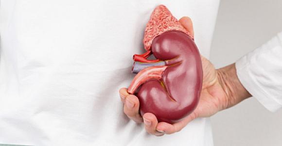 "Xəstə" böyrəklərin