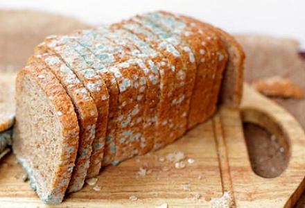 Çörəkdəki kif ÖLDÜRƏ BİLƏR