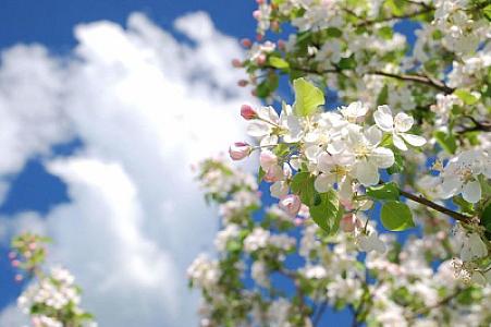 Mart ayının ilk gününün havası