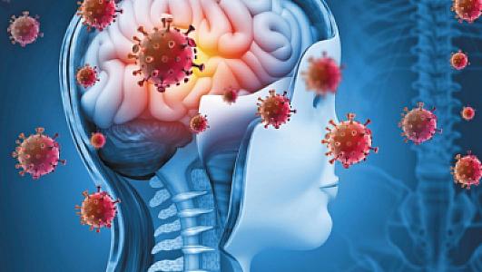 COVID-19 insanların intellekt səviyyəsini