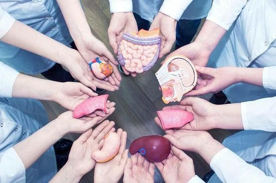 Azərbaycanda meyit donordan orqan götürülməsi mümkün olacaqmı?