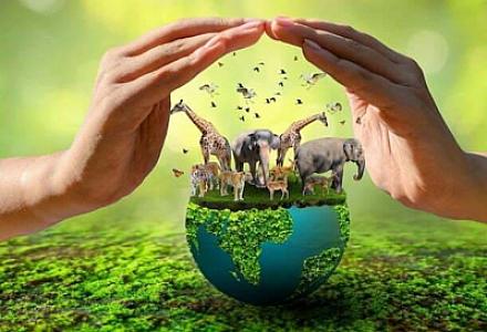 Bu gün Ümumdünya Vəhşi Təbiət Günüdür