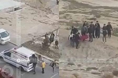 “Qobu Park”da azyaşlını itlər parçalayıb: “Vəziyyəti ağırdır”