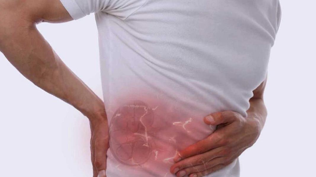 Hipertoniya və diabet xəstəliyi böyrək çatışmazlığına səbəb olur?