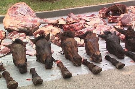 Ölü at və eşşək əti satan şəxs ƏLƏ KEÇDİ