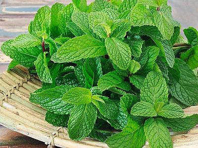 Nanə ilə baş ağrısını dəqiqələr ərzində dayandıran