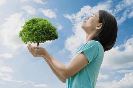 Dünyada ən təmiz havası olan yeddi ölkə