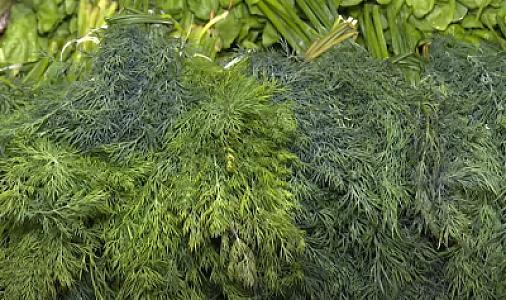 İrandan Azərbaycana gətirilən şüyüdə zərərli kimyəvi maddə vurulur?