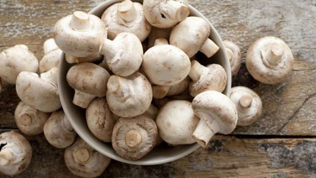 Diyetoloq göbələyin möcüzəvi təsirlərini açıqladı
