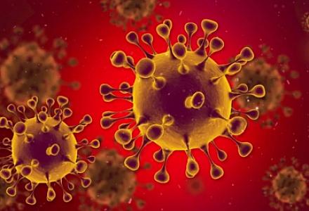 Yeni tədqiqat: Virusların əksəriyyəti insan mənşəlidir