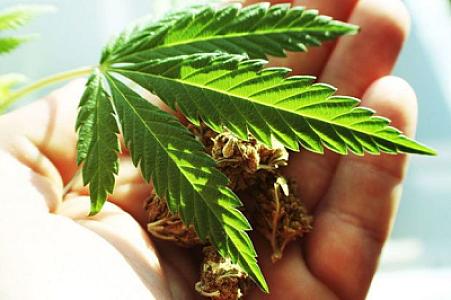 Bu gündən Almaniyada küçədə marixuana çəkməyə