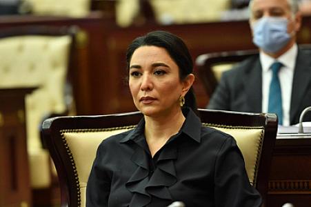 Ombudsman Psixi sağlamlıq sahəsində Milli Strategiyaya yenidən baxılmasını