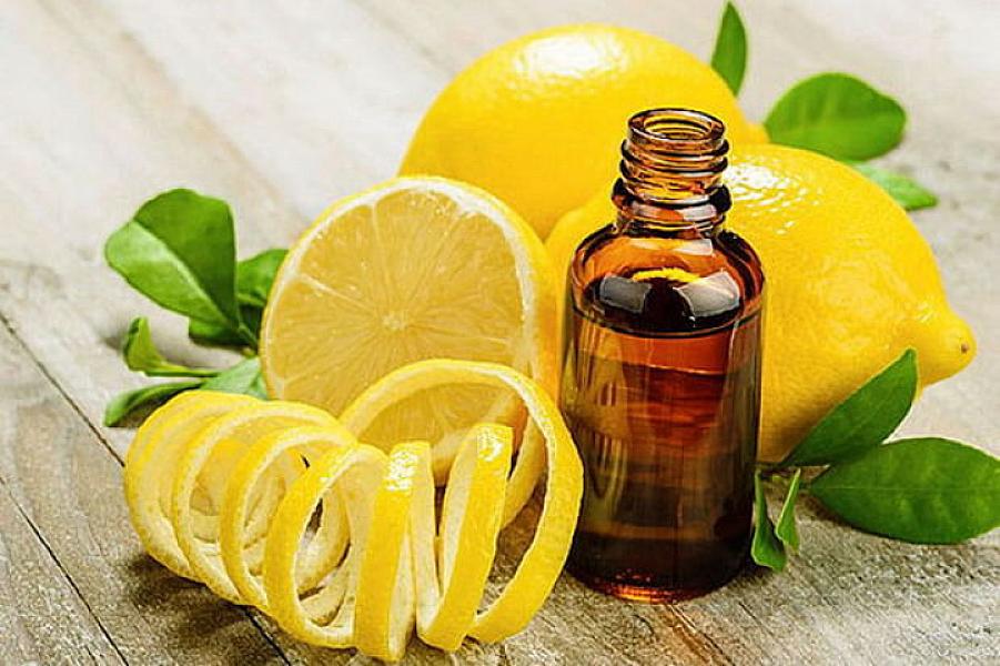 Ağcaqanadları evinizdən didərgin salacaq