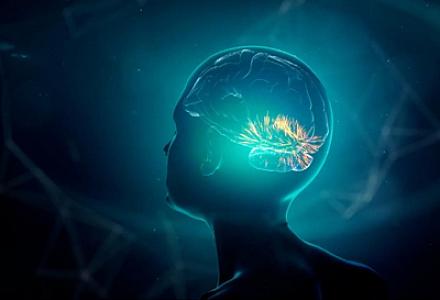 Tədqiqat: İnsan beyni nəsildən-nəslə