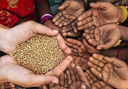 Yoxsulla zəngin arasında körpü quran bayram