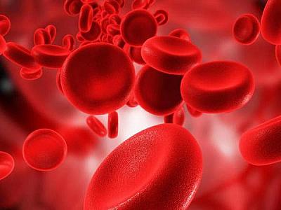 Hematoloq: "Qan durulaşdıran dərmanların nəzarətsiz qəbulu hemofiliyalı xəstələr üçün təhlükəlidir"