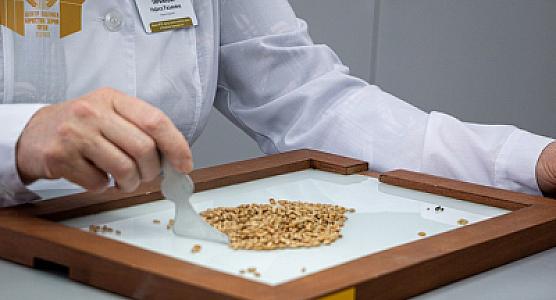 Tərkibində xərçəng yaradan toksinlər olan