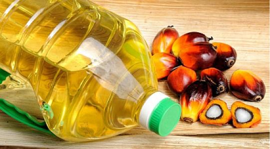 Palma yağlarının Azərbaycana gətirilməsinin