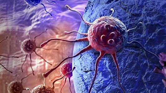 Bu qida xərçəngə tutulma riskini azaldır