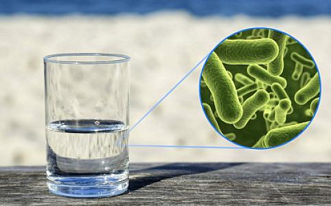 Fransada içməli suda təhlükəli bakteriyalar