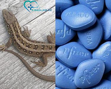 Taylandda kişi Viaqra əvəzinə diri kərtənkələ yeməyə başlayıb,