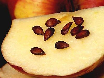 Mədəyə, bağırsağa faydalı - İnfaktın qarşısını alan