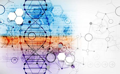 İmmunitet hüceyrələrinin qocalmasını sürətləndirən infeksiya