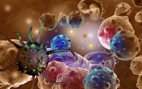 Xərçəngdən qorunmaq üçün