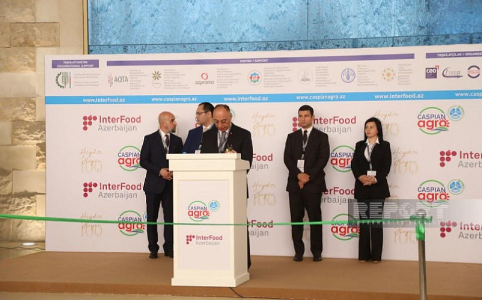 Qoşqar Təhməzli: "Zoonoz xəstəliklərinə yoluxan heyvanların sayı 2,3 faizə qədər azalıb"