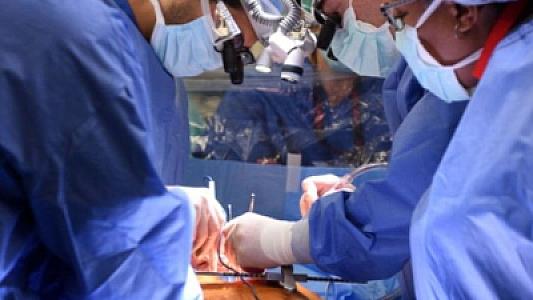 Orqan transplantasiyası xarakteri dəyişir