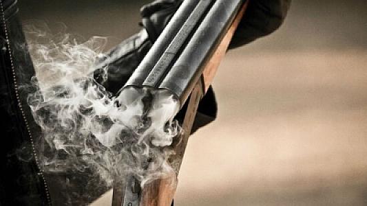 Şəmkir sakini yeznəsini toyuğa görə güllələdi