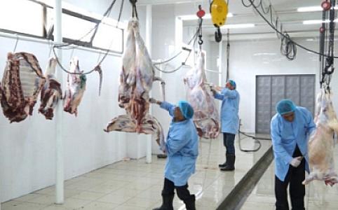 Qanuni heyvan kəsimi məntəqələrinin mövcud olmadığı rayonlar açıqlanıb