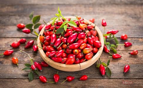 İtburnu çayı içməyin faydaları