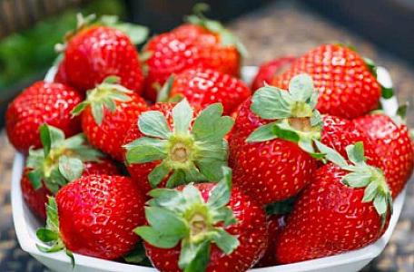 Çiyələklə bağlı əhaliyə XƏBƏRDARLIQ edildi