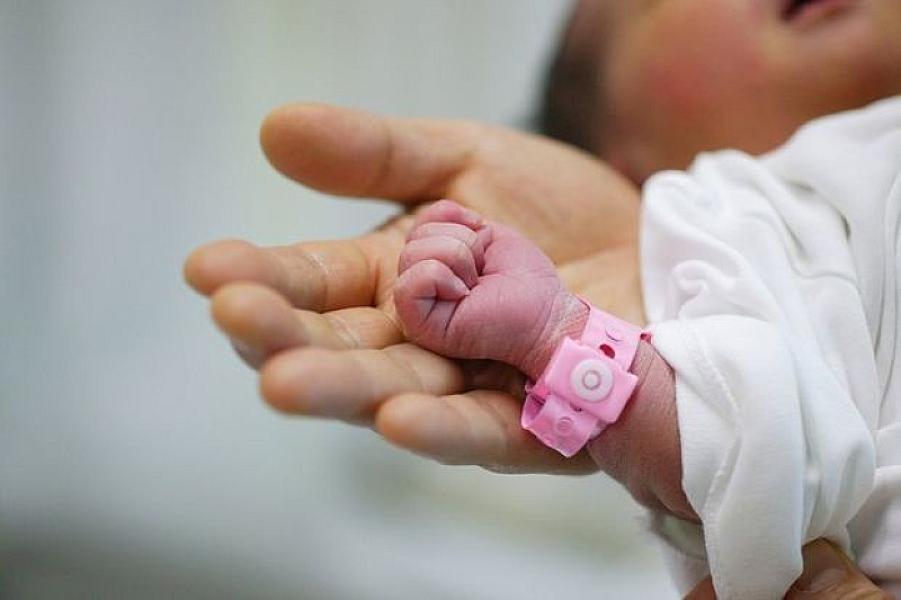 Yeni doğulan körpələrin sayı ilbəil azalır