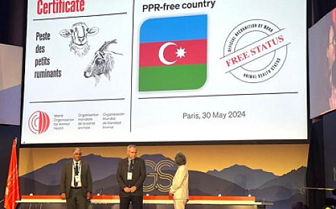 Azərbaycan Parisdə keçirilən beynəlxalq tədbirdə xüsusi sertifikata layiq görülüb